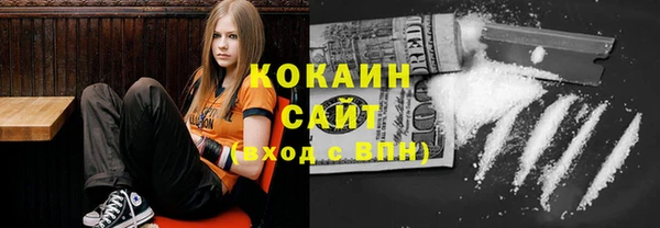 шишки Беломорск