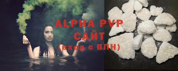 шишки Беломорск