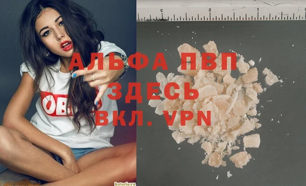 шишки Беломорск
